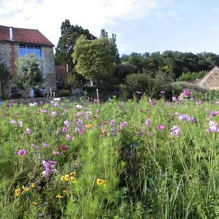 Vineyard Garden Studio Mont-Saint-Jean  Eksteriør billede