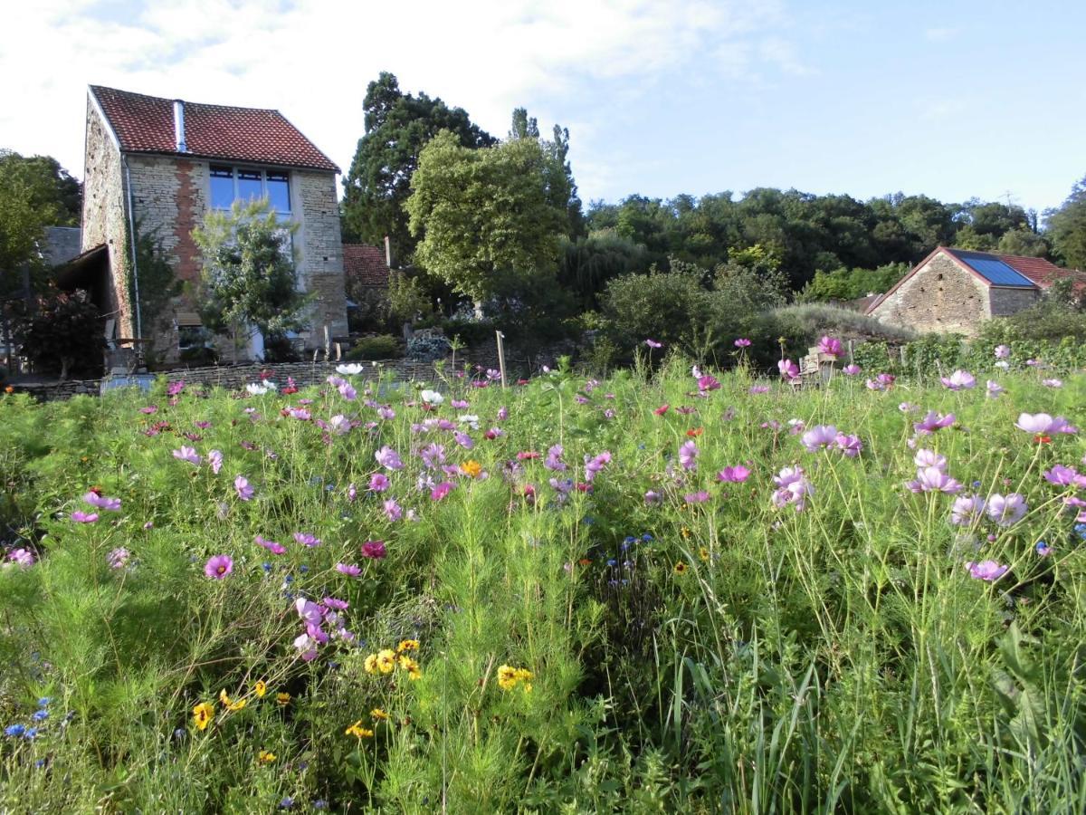 Vineyard Garden Studio Mont-Saint-Jean  Eksteriør billede